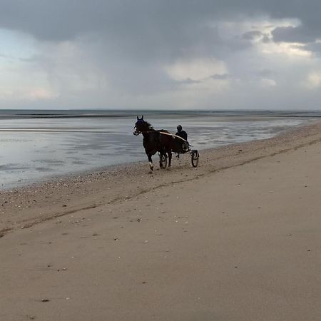 Maisonnette Le Cottage A 50M De La Plage D'Asnelles , 3Km D'Arromanches, 10Km De Bayeux 外观 照片